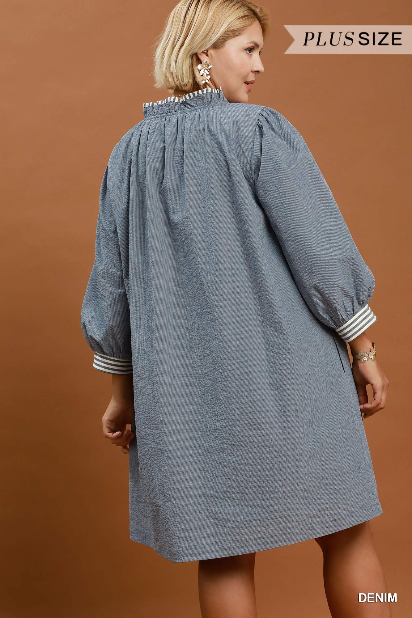 Carolina Chambray Dress (Curvy)