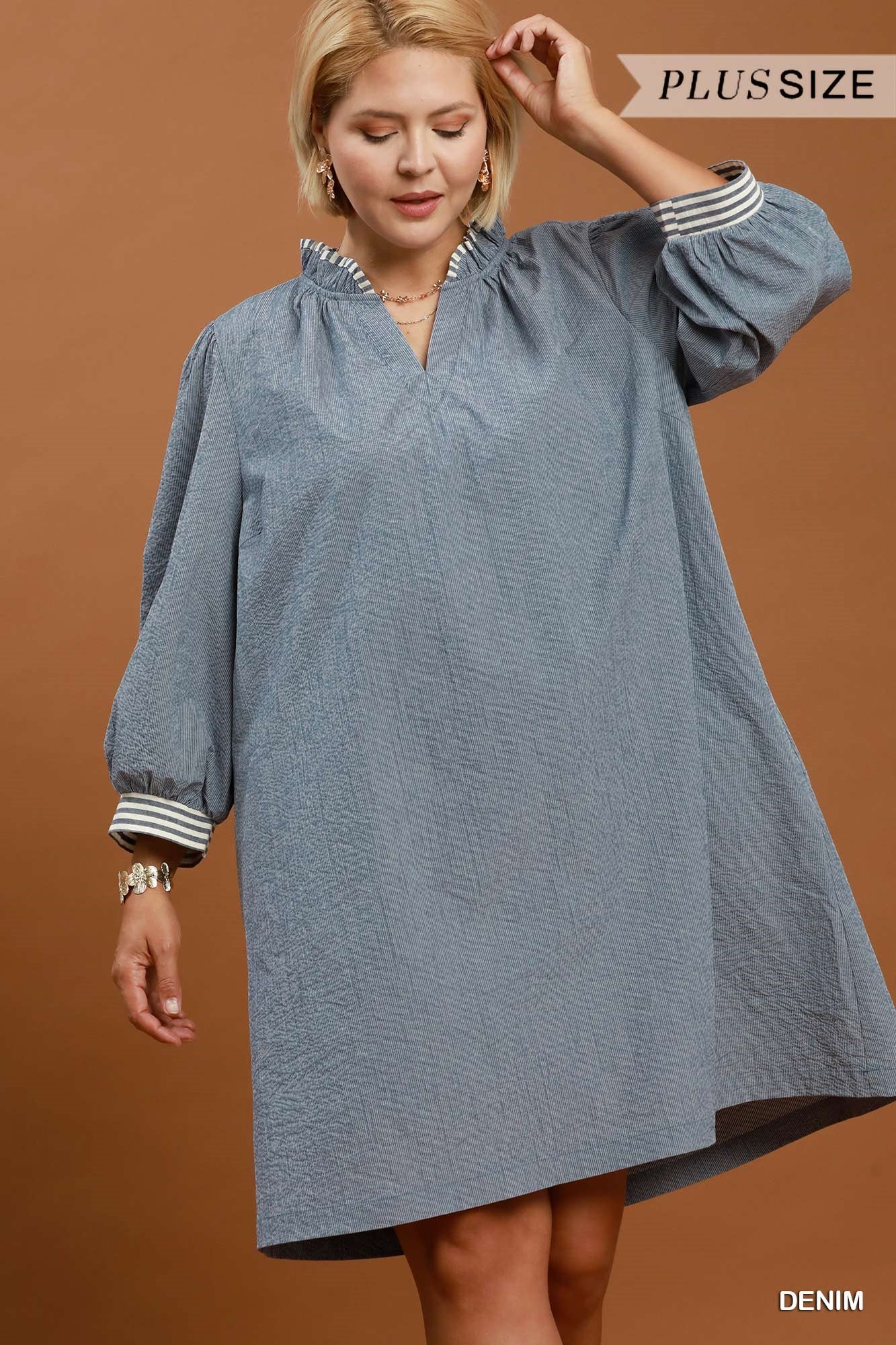 Carolina Chambray Dress (Curvy)