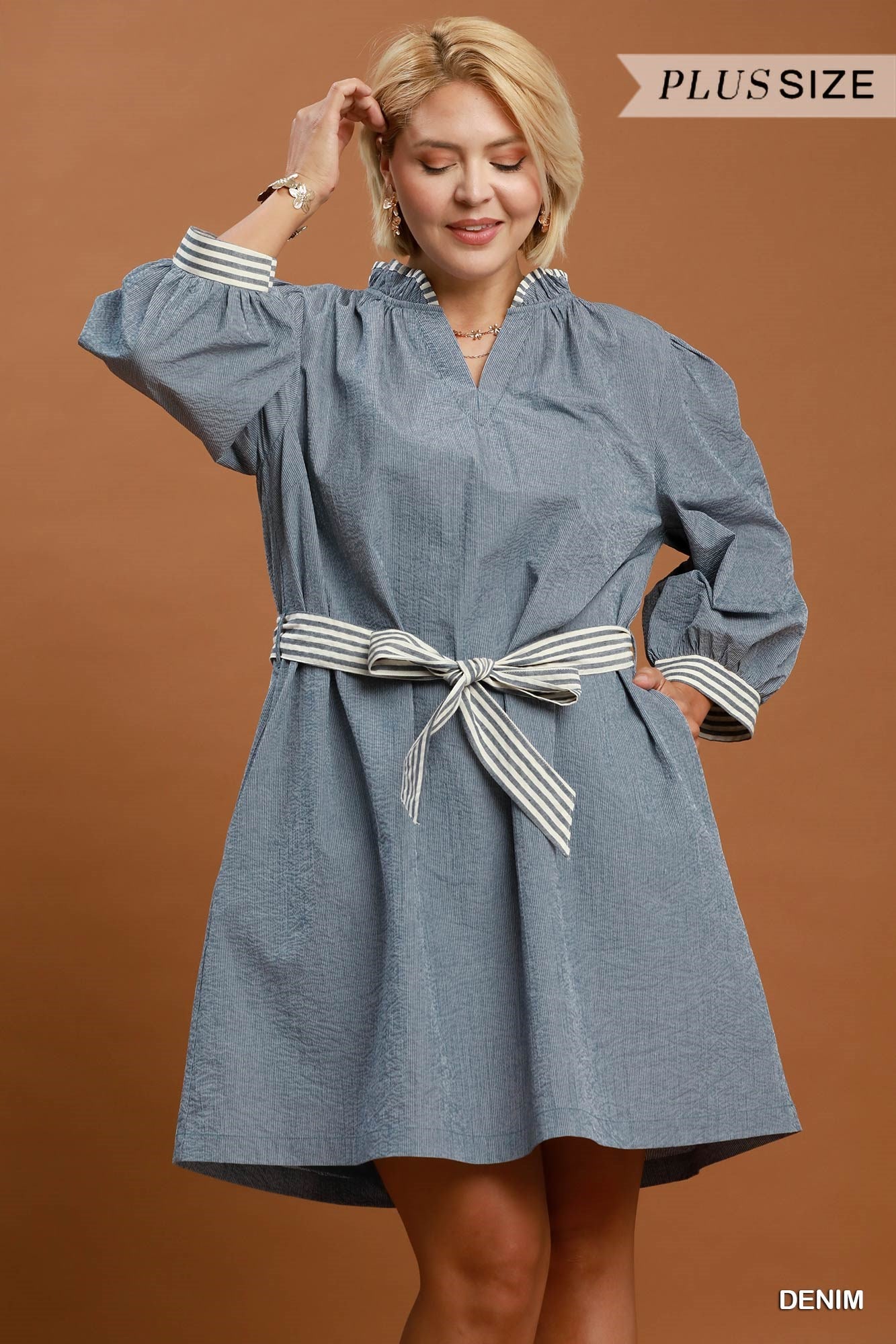 Carolina Chambray Dress (Curvy)