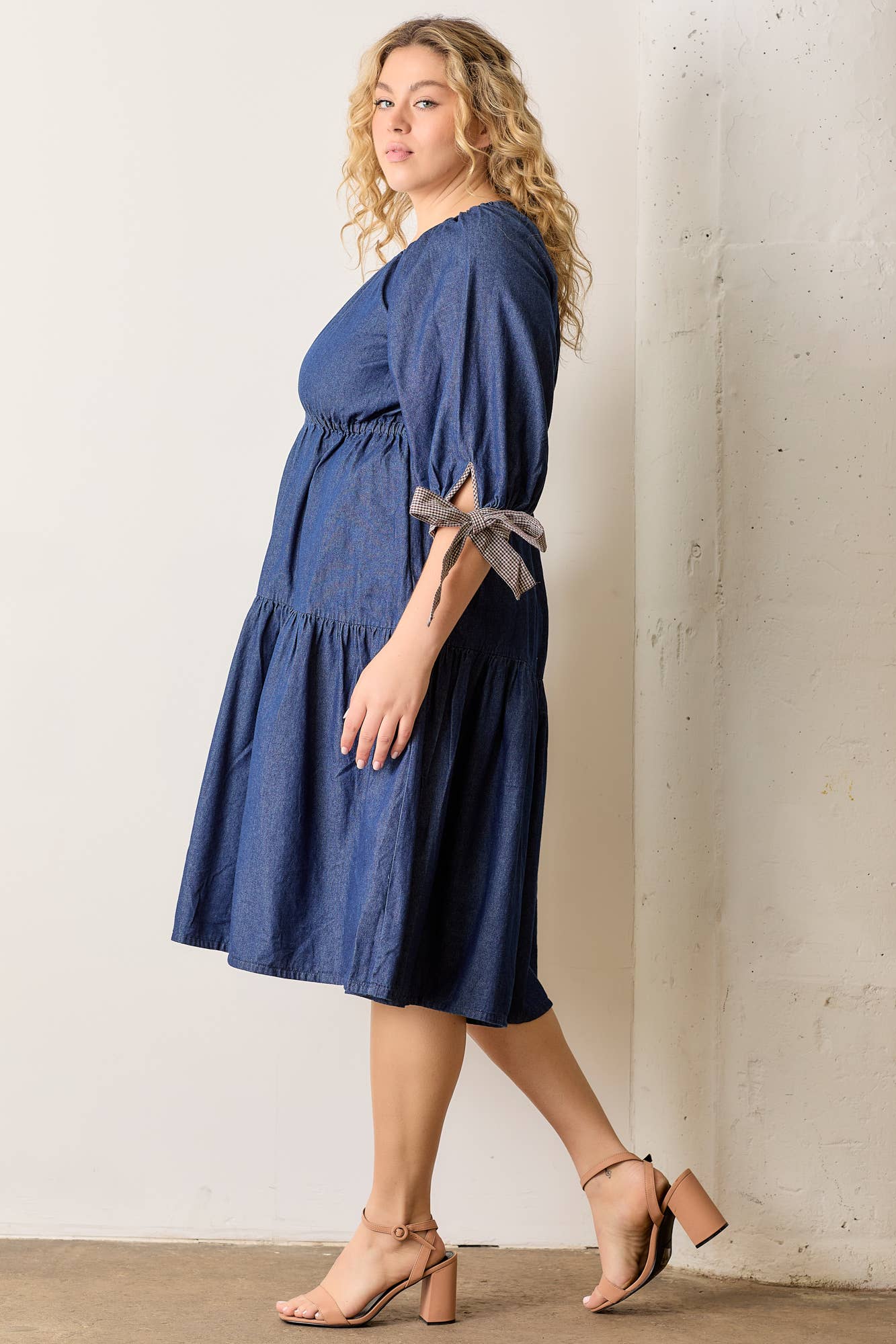 Denim Daydream Dress (Curvy)